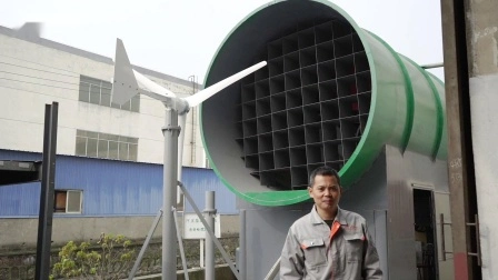 Turbina eólica de 1kw/ Molino de viento/ Generador eólico