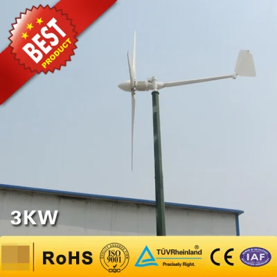 Turbina eólica de uso doméstico de 3kw / Sistema generador de energía eólica (3000W)